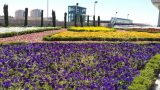 IMG-20160418-WA0029